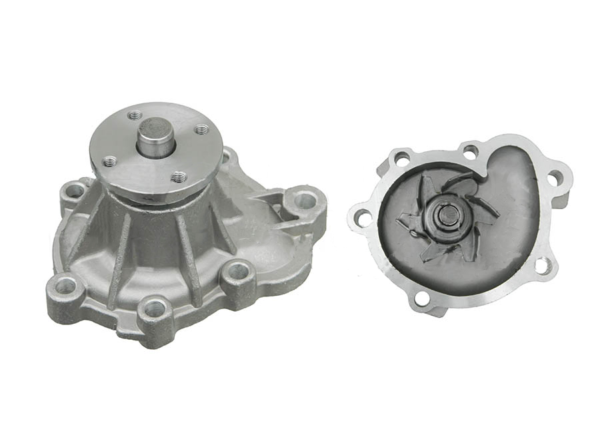 BOMBA DAGUA MOTOR WANFENG 491