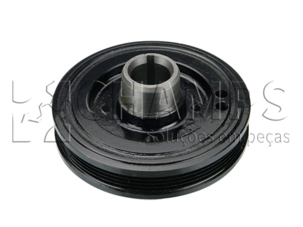 POLIA VIRABREQUIM MOTOR WANFENG 491